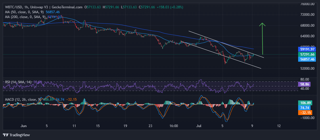 Bitcoin Price Chart Analysis Source: GeckoTerminal.com