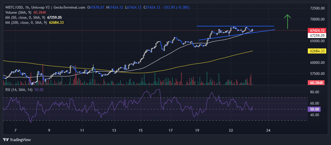 Bitcoin Price Chart Analysis Source: GeckoTerminal.com