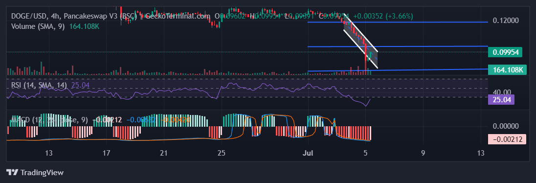 DOGE Chart Image