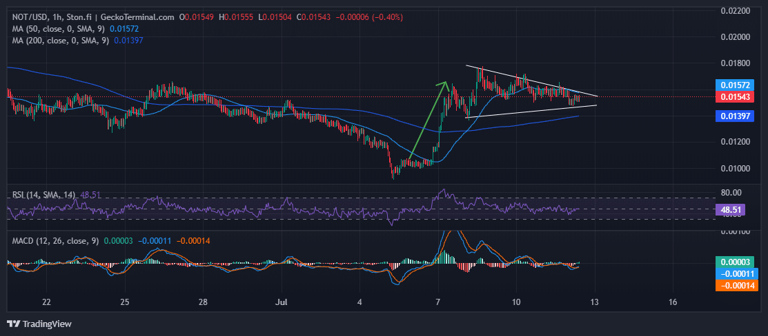 Notcoin Price Chart Analysis Source: GeckoTerminal.com