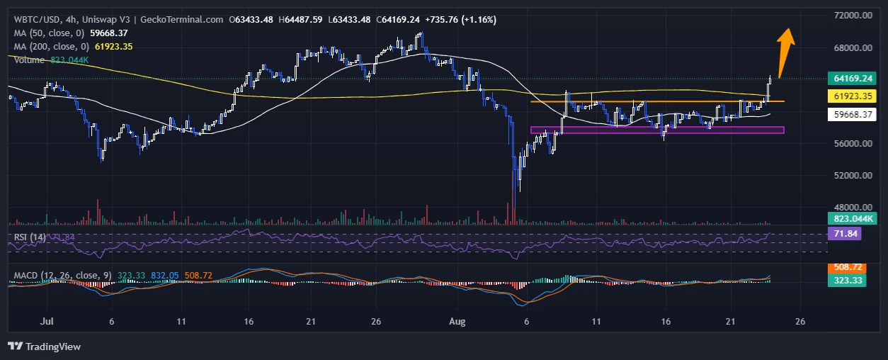 Bitcoin Price Chart Analysis Source: GeckoTerminal.com