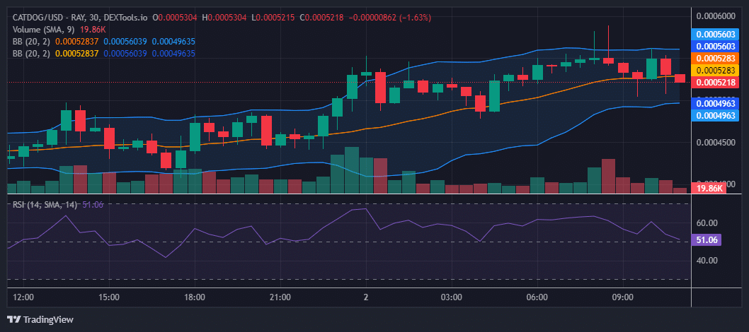 CatDog Price Prediction