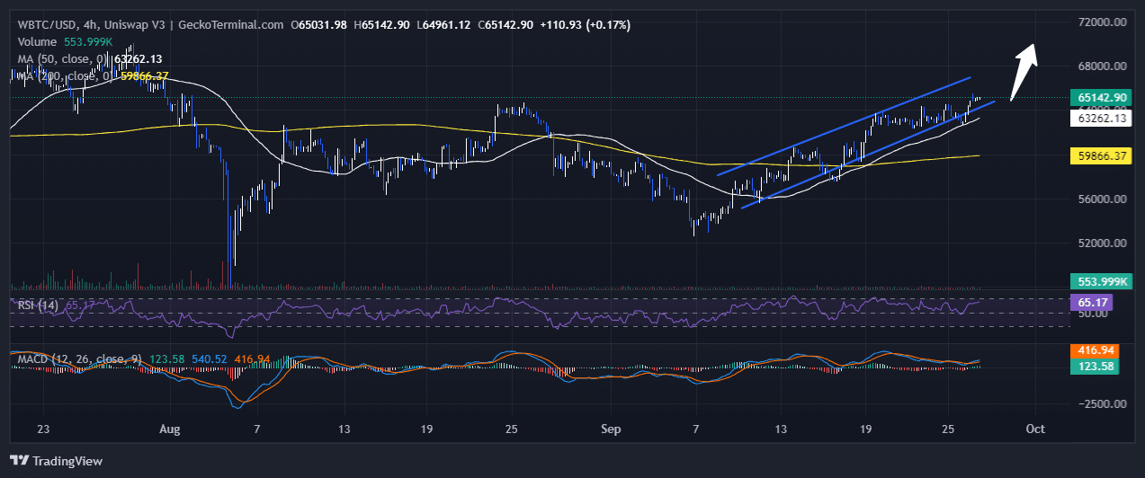 Bitcoin Price Chart Analysis Source: GeckoTerminal.com