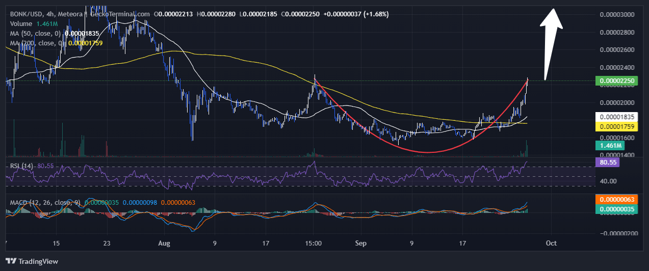 Bonk Price Chart Analysis Source: GeckoTerminal.com