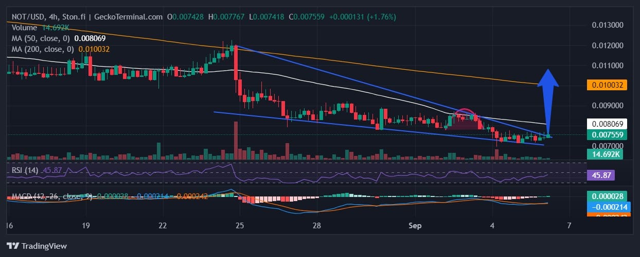 Notcoin Price Prediction