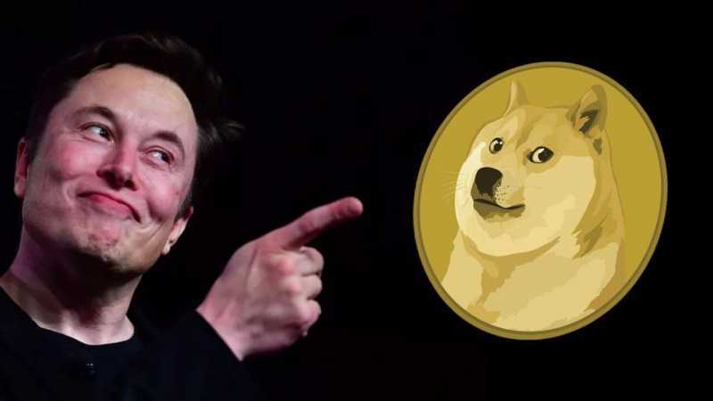 Elon Musk: Dogecoin could be the future - Telegraph - Telegraph