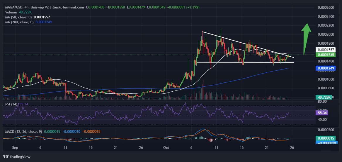 MAGA Hat Price Chart Analysis Source: GeckoTerminal.com