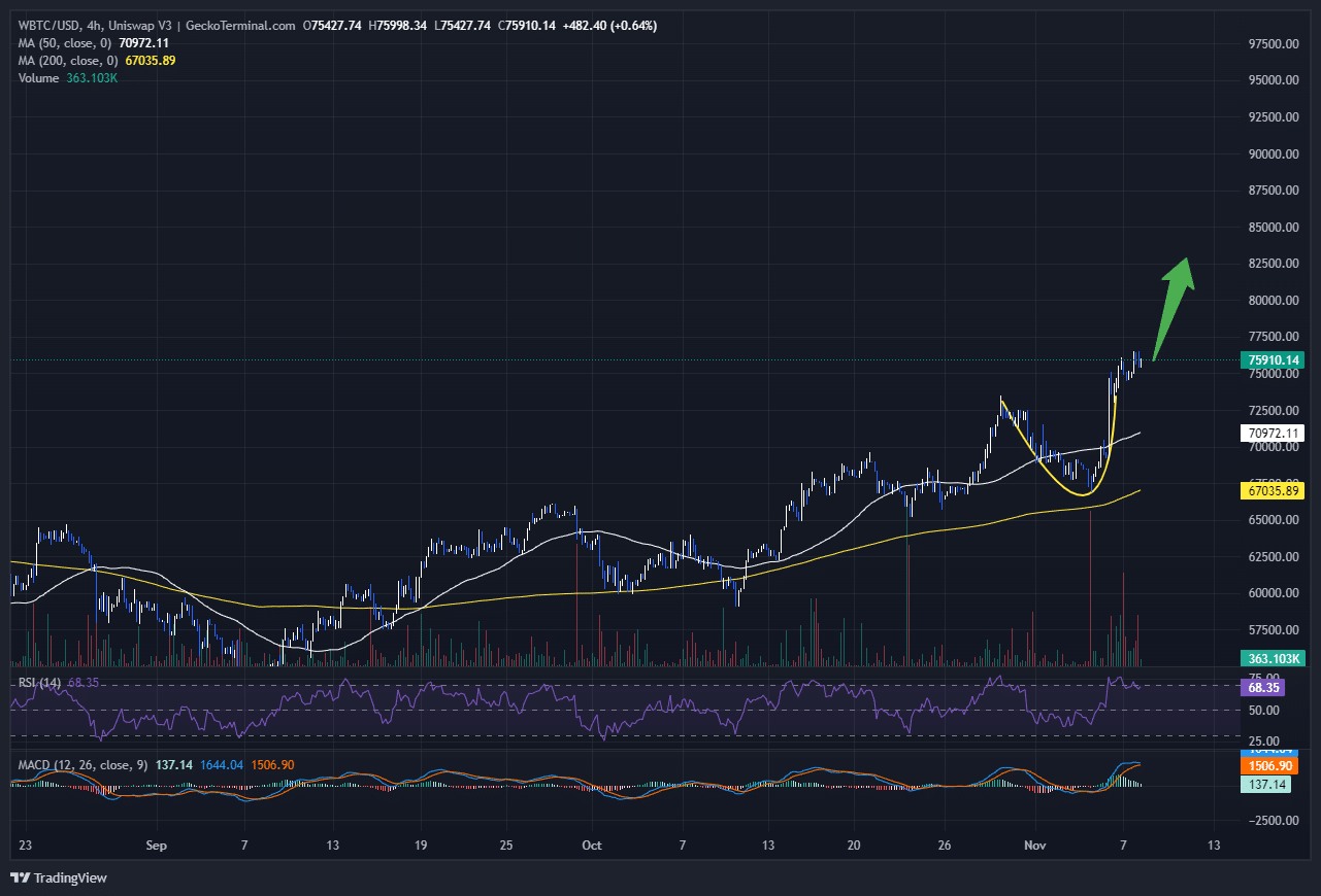 Bitcoin Price Chart Analysis Source: GeckoTerminal