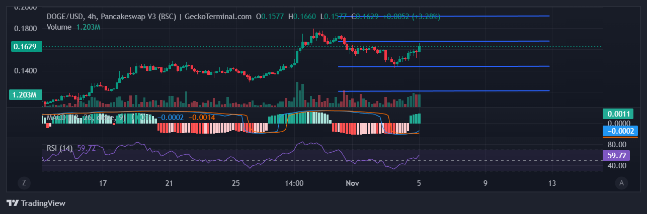 DOGE Chart Image