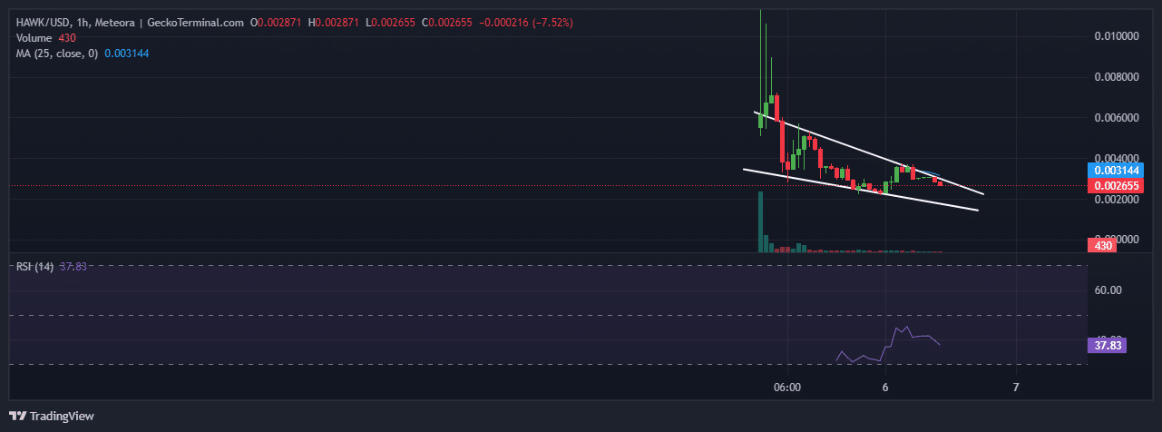 Hawk Tuah Price Chart Analysis Source: GeckoTerminal