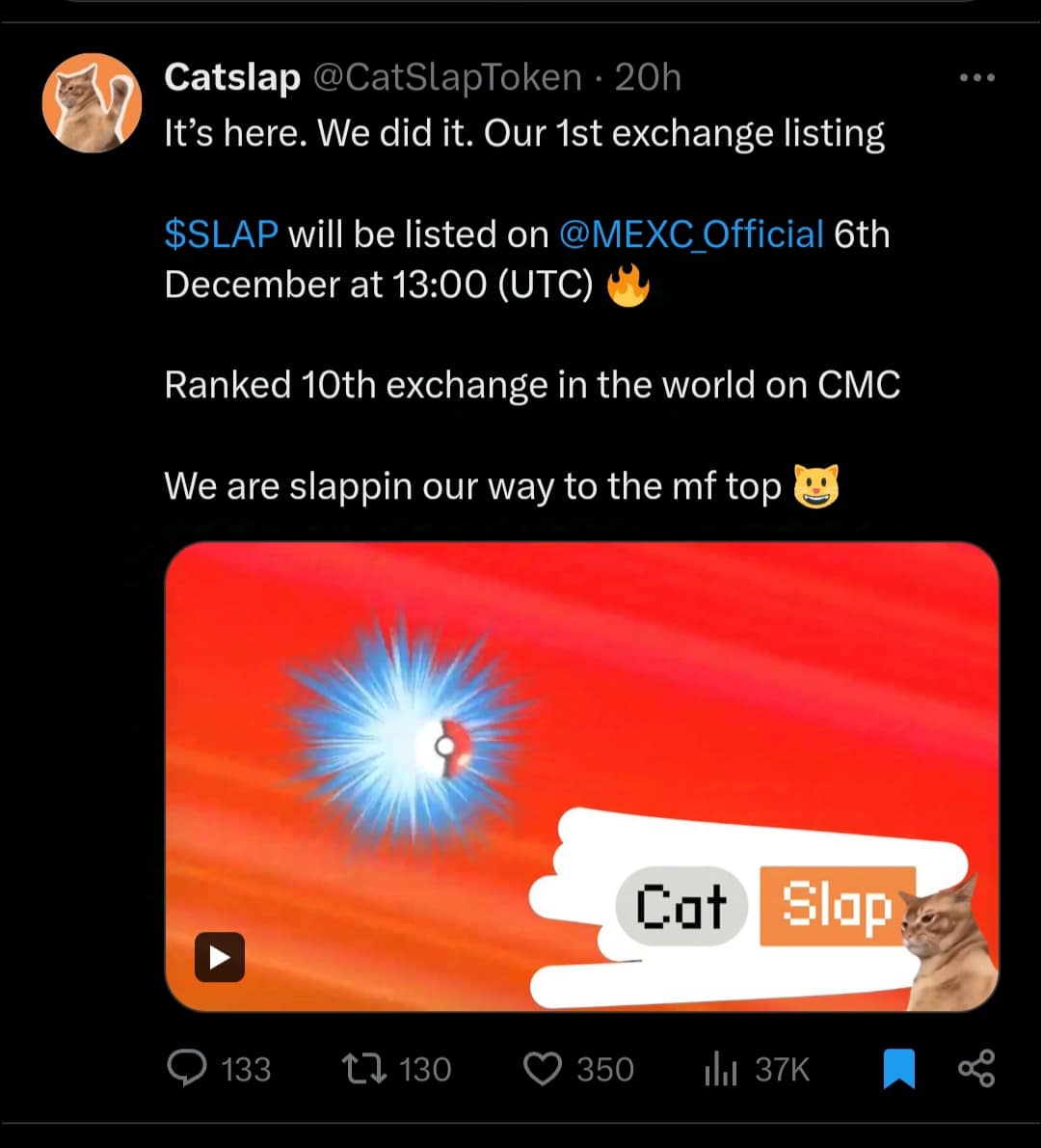 Catslap tweet