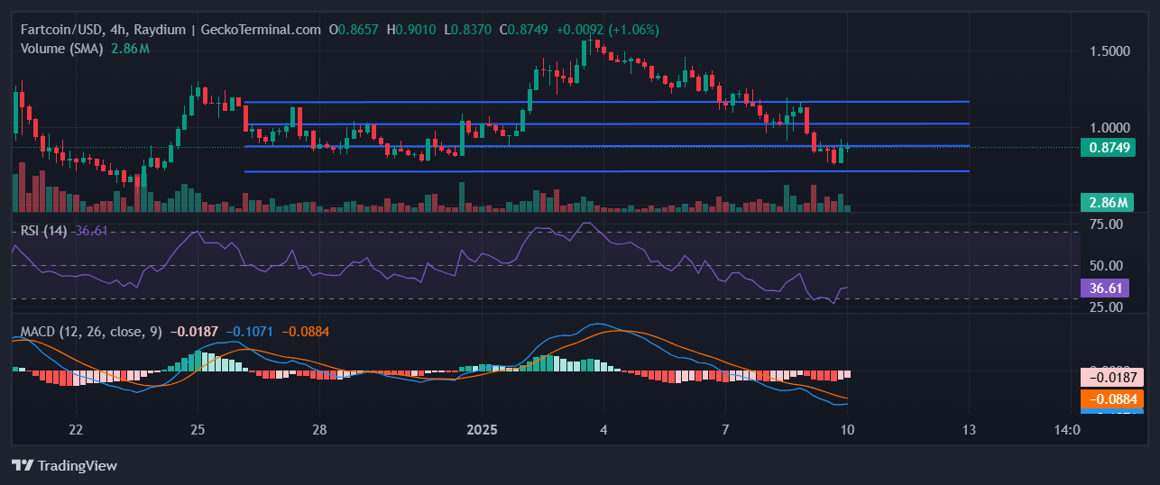 FARTCOIN Chart Image