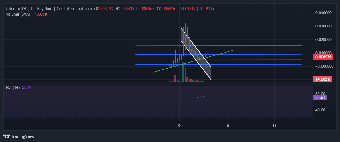 FATCOIN Chart Image